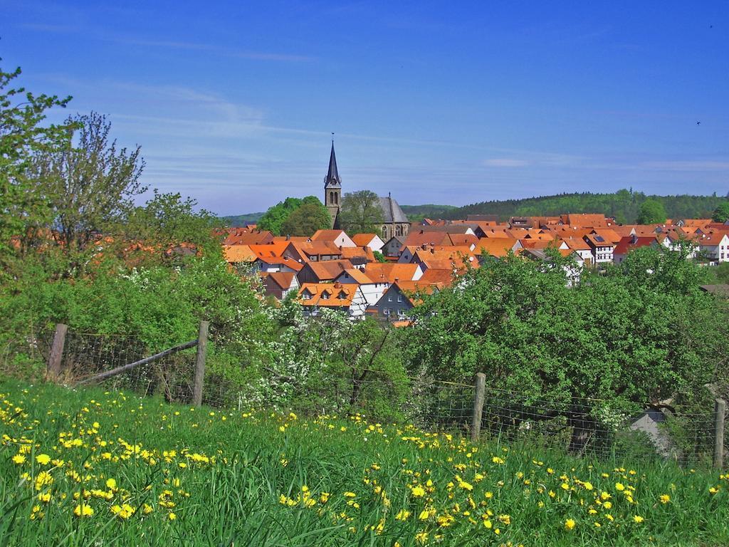 Ferienwohnung Am-Brueckenrain Frankenau エクステリア 写真